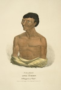Na-mas o il Piccolo Storione da James Otto Lewis